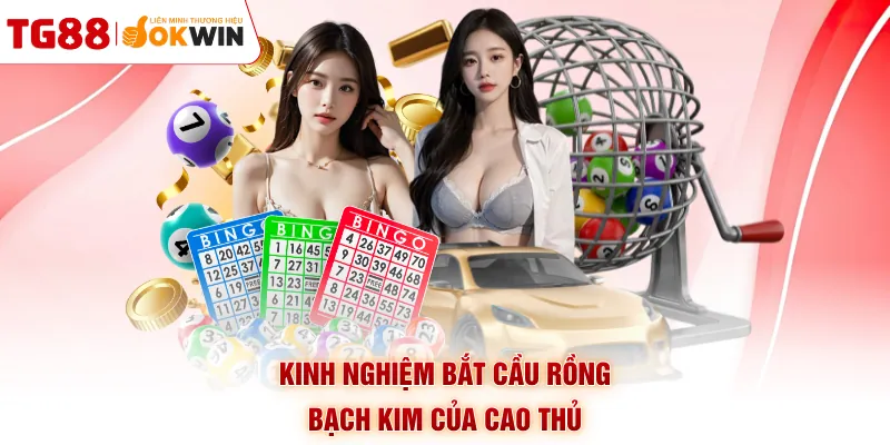 Kinh nghiệm bắt cầu rồng bạch kim của cao thủ