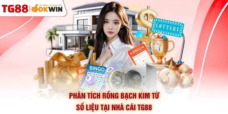 Phân tích rồng bạch kim từ số liệu tại nhà cái TG88