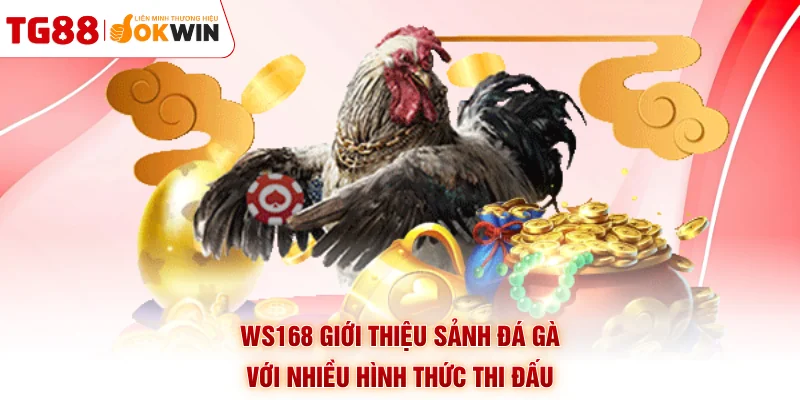 WS168 giới thiệu sảnh đá gà với nhiều hình thức thi đấu